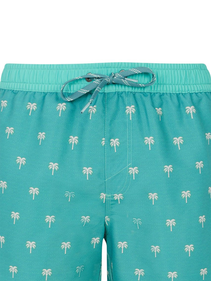 PROTEST PRTParco Swim shorts | Wave Green
