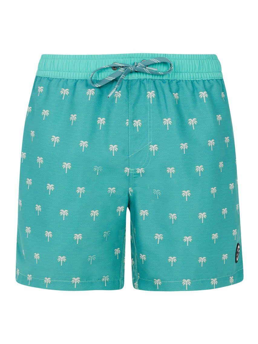 PROTEST PRTParco Swim shorts | Wave Green
