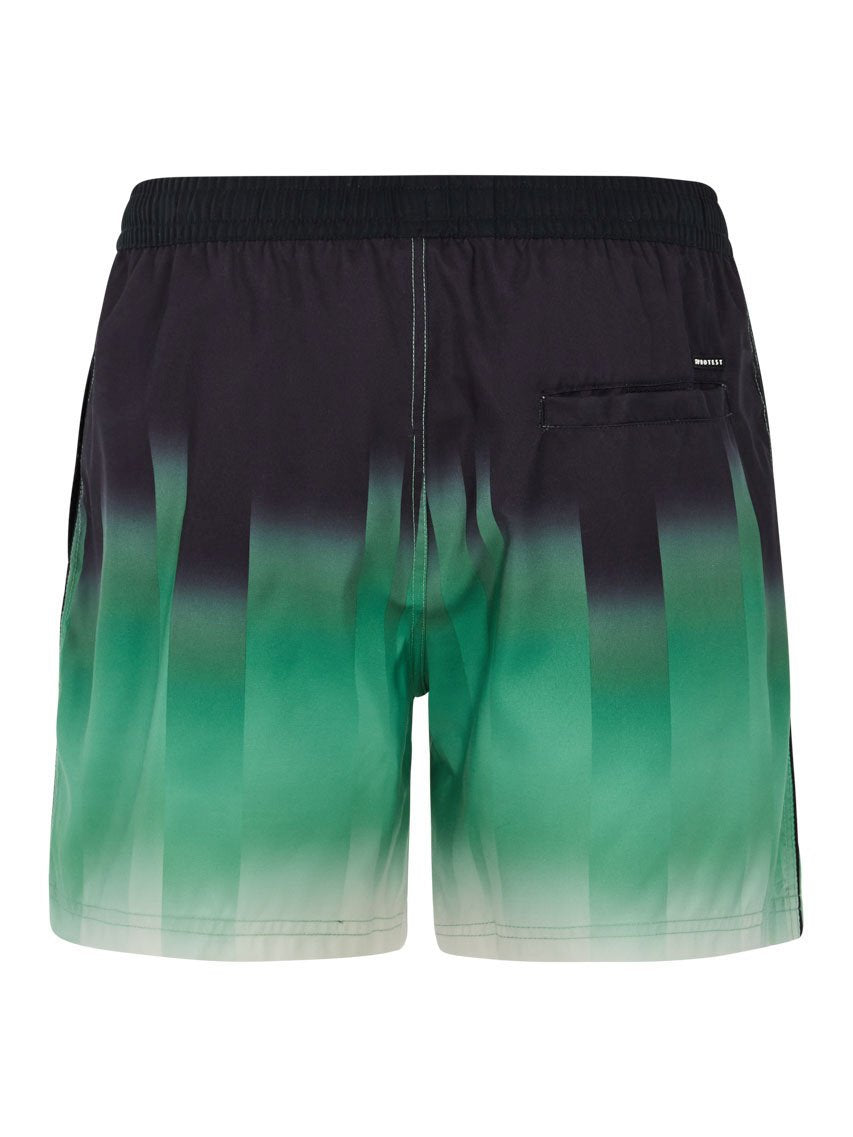 PROTEST PRTBowery Swim shorts | Cactus Green