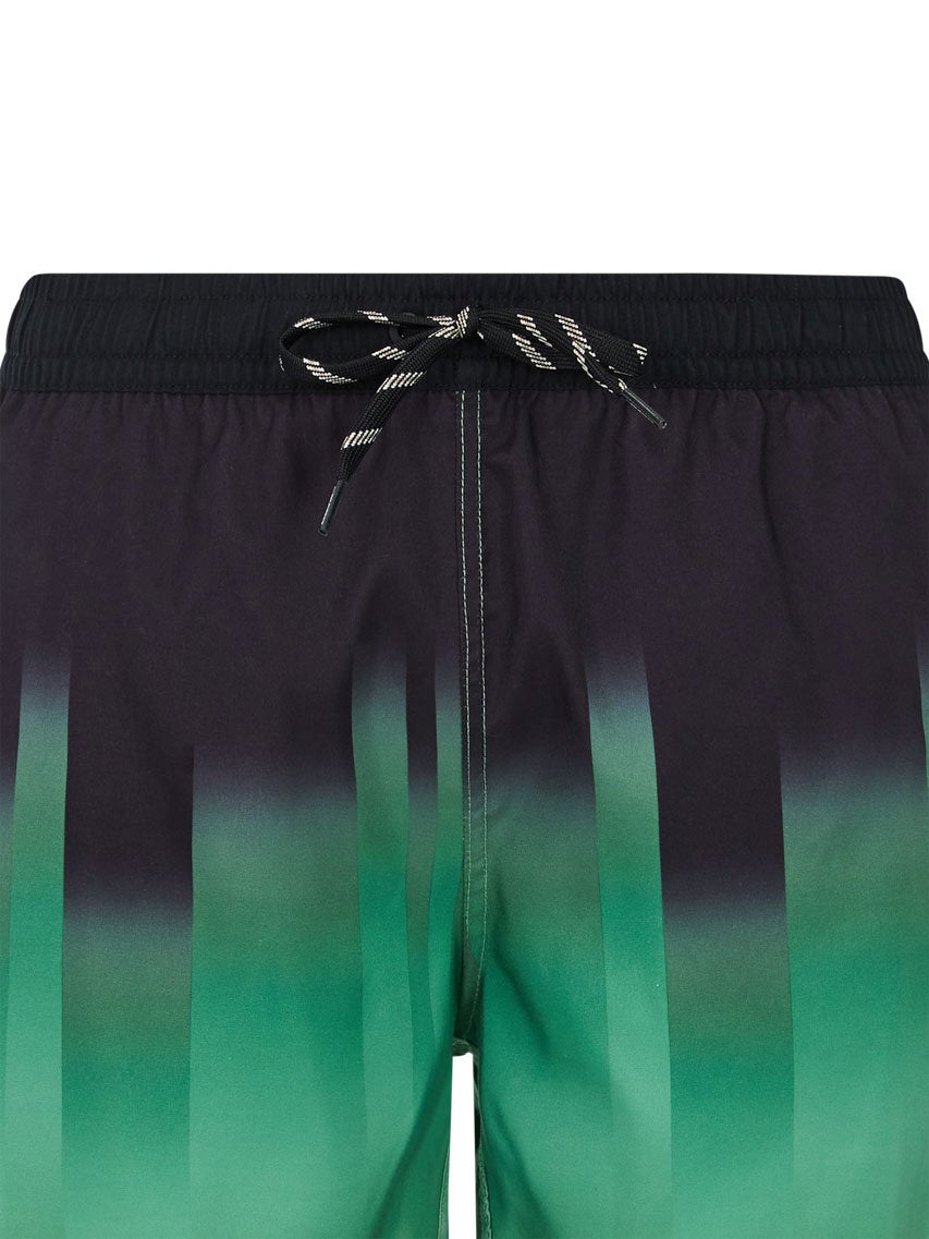 PROTEST PRTBowery Swim shorts | Cactus Green