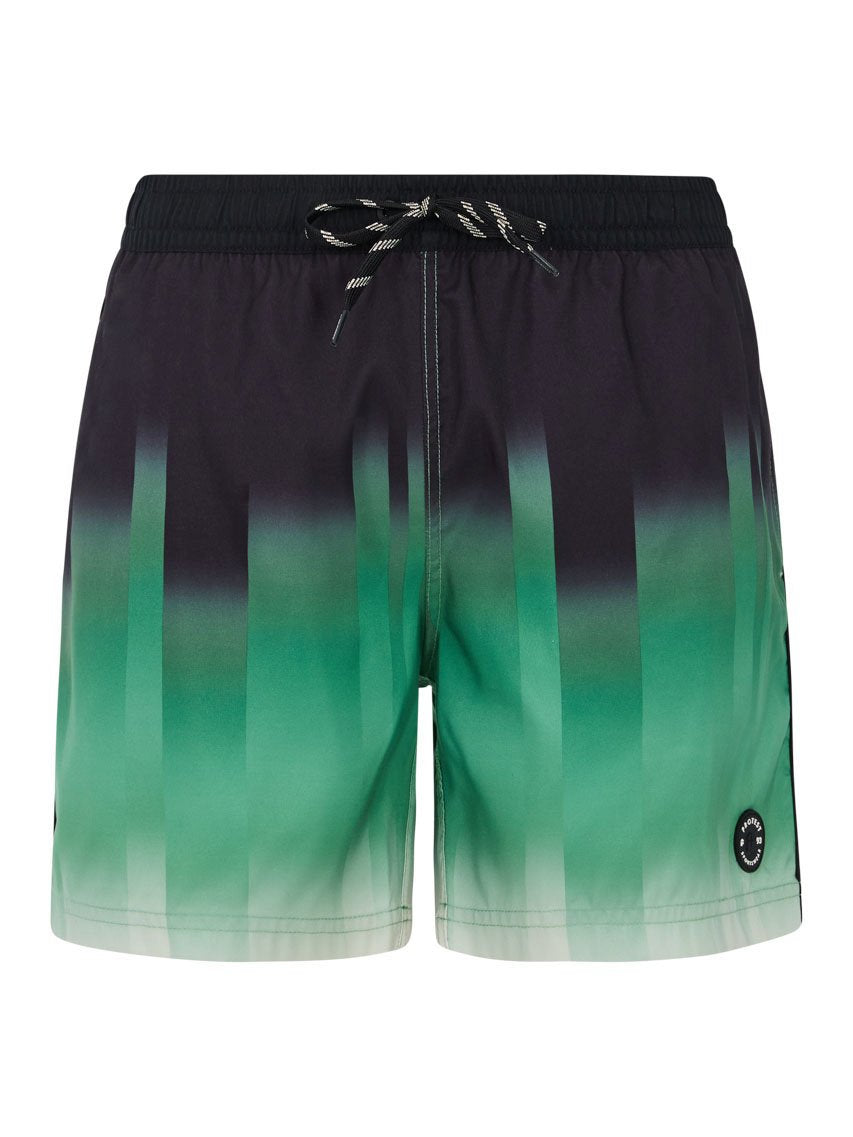 PROTEST PRTBowery Swim shorts | Cactus Green