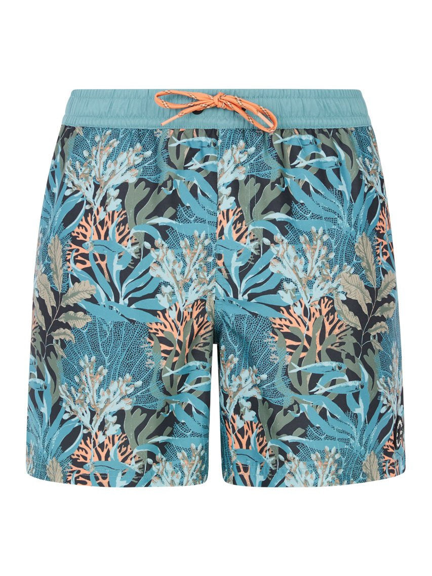 PROTEST PRTEton Swim shorts | Arcticgreen