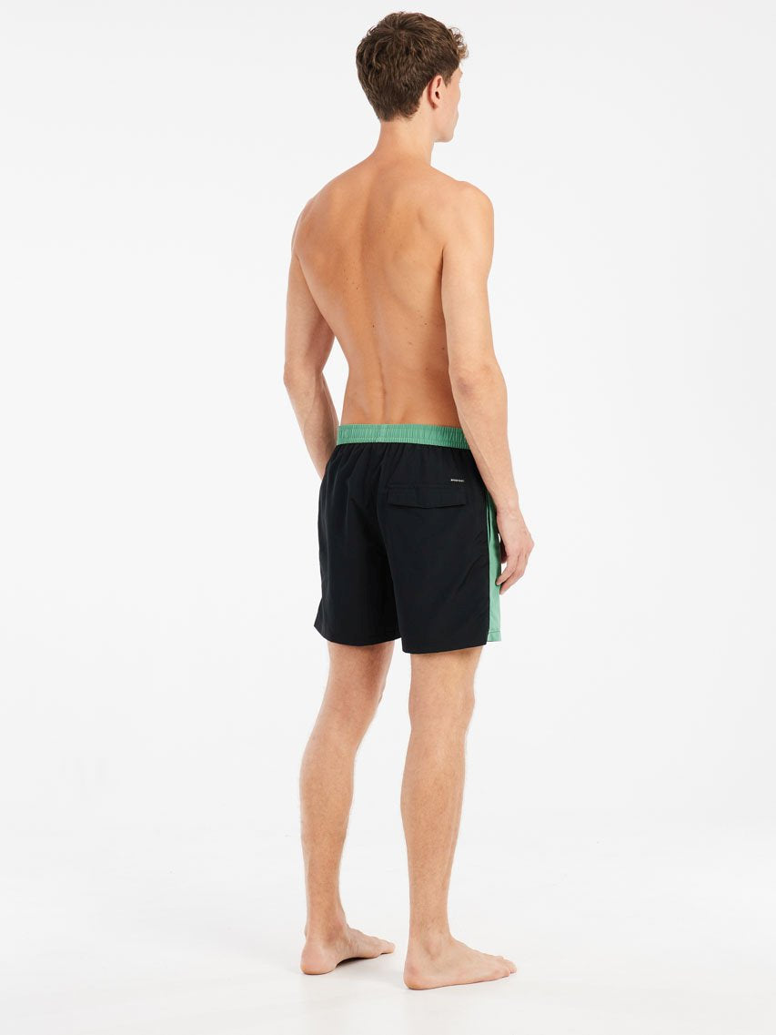 PROTEST PRTBen Swim shorts | Cactus Green