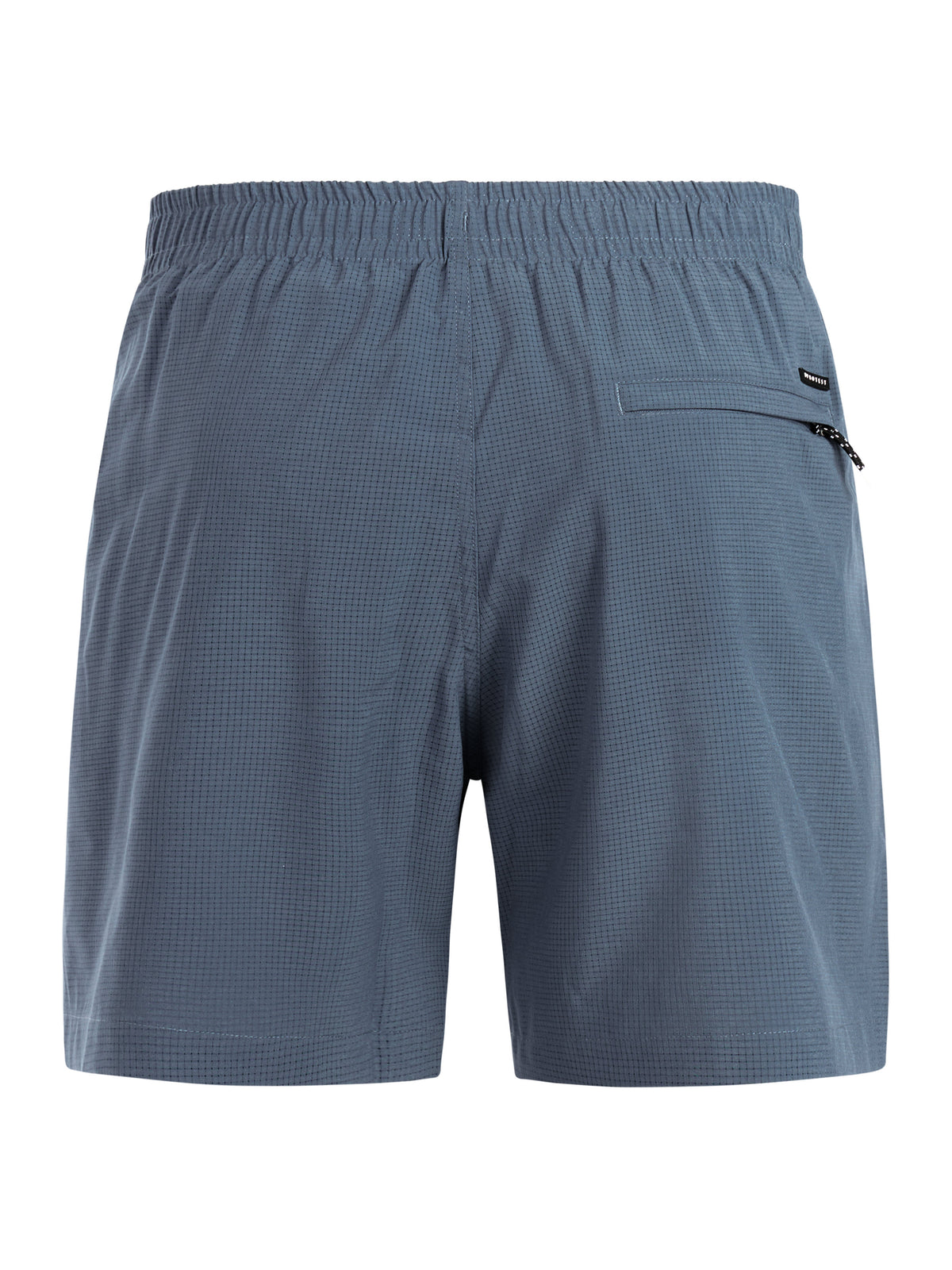 PROTEST PRTAdonia Beach Shorts | Empire Blue