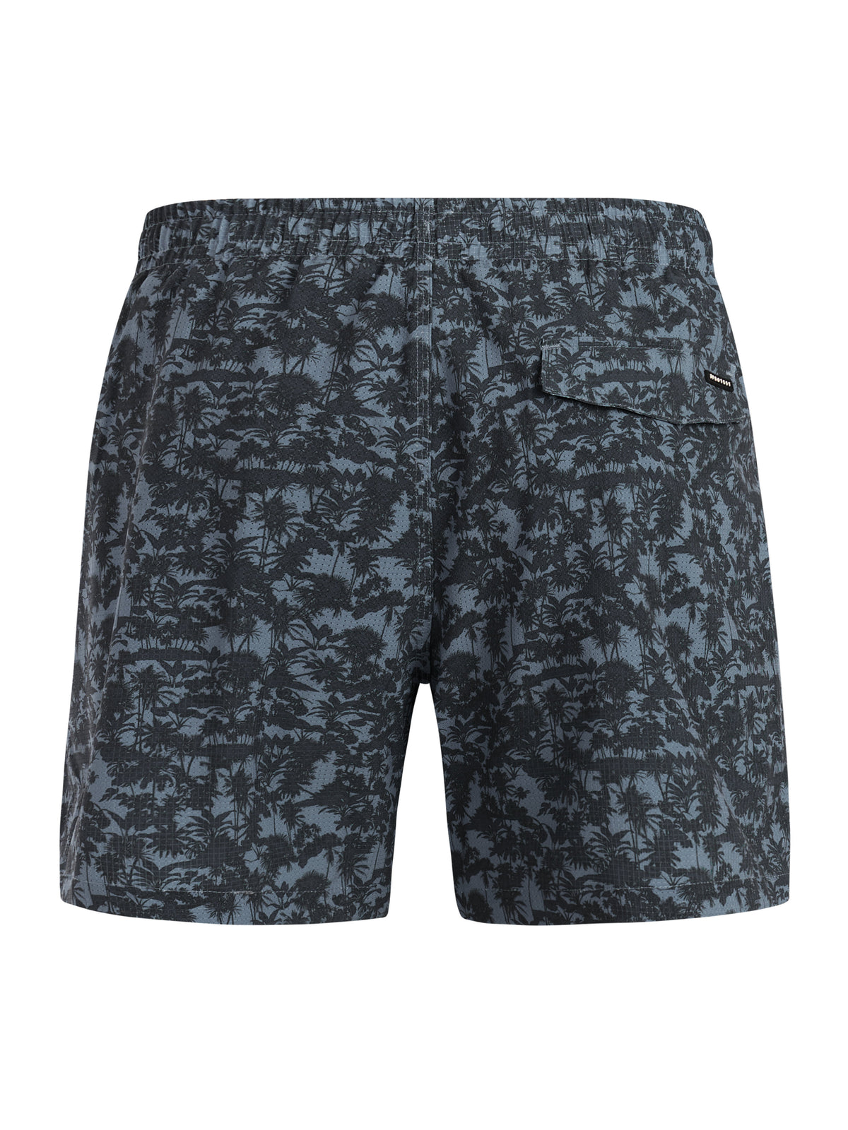 PROTEST PRTOwston Beachshort | Empire Blue