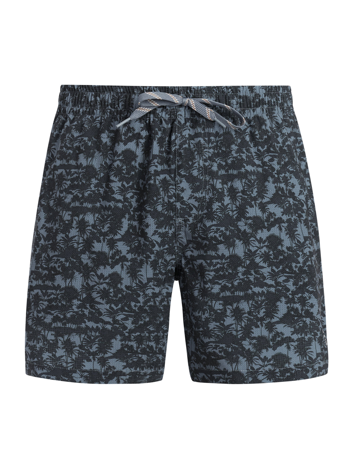 PROTEST PRTOwston Beachshort | Empire Blue