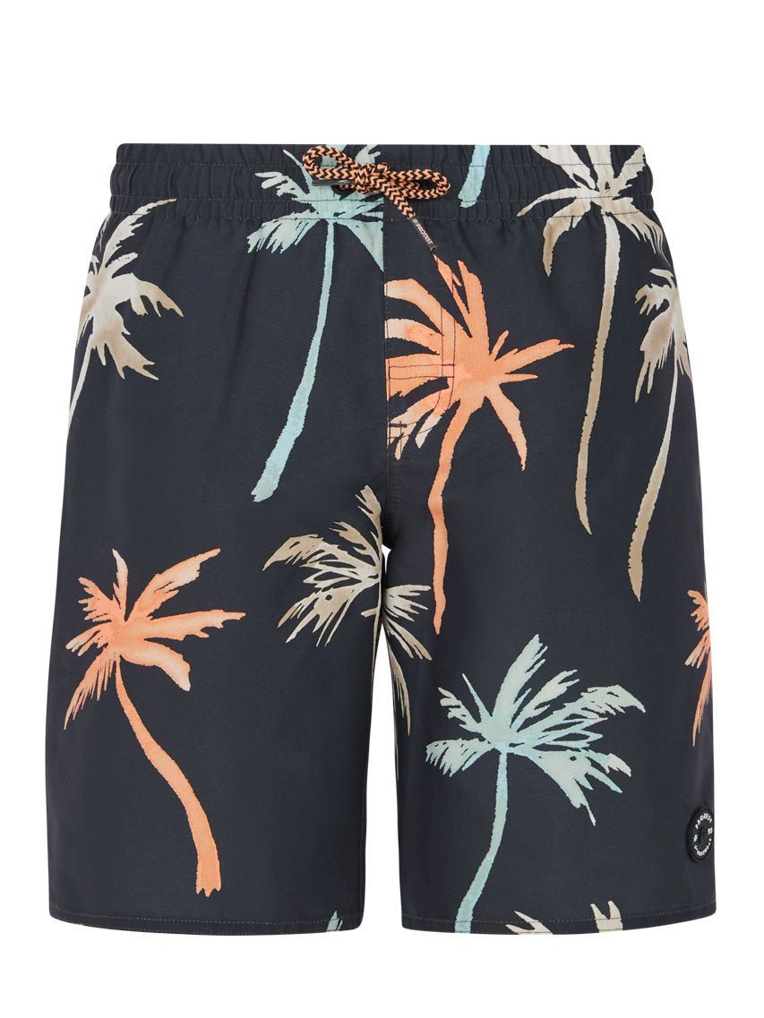PROTEST PRTBrandon JR Swim shorts | Deep Grey