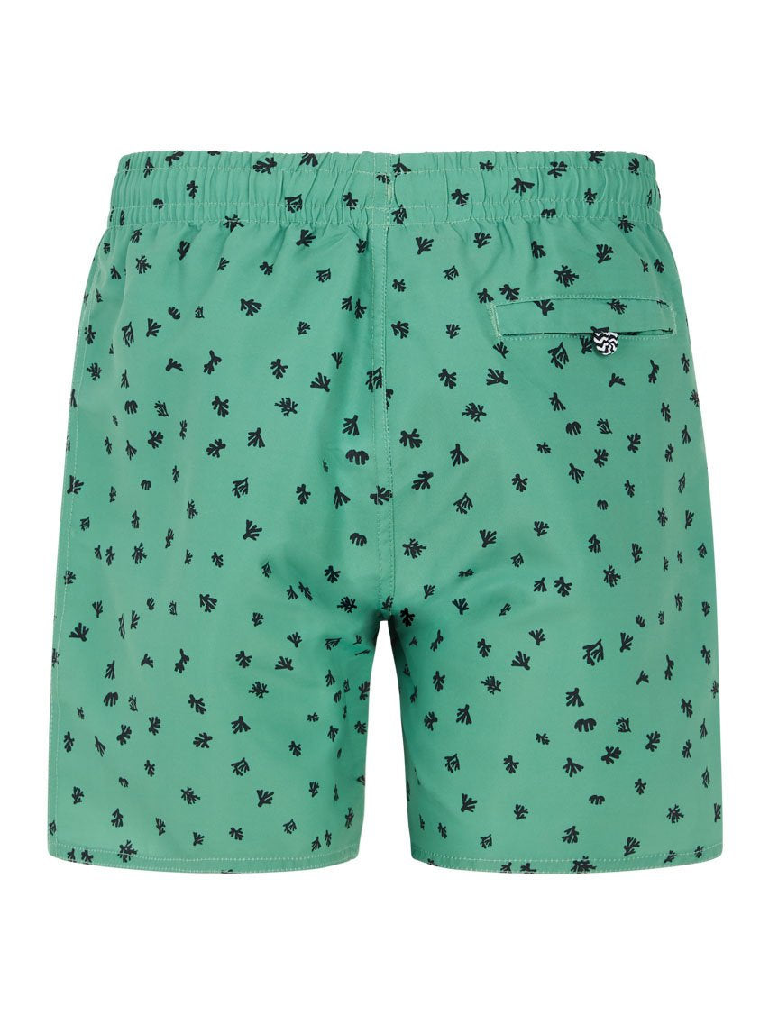 PROTEST PRTTyson JR Swim shorts | Cactus Green