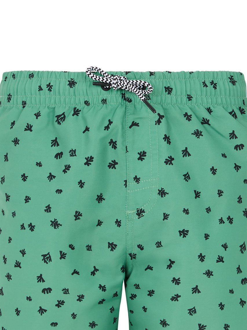 PROTEST PRTTyson JR Swim shorts | Cactus Green