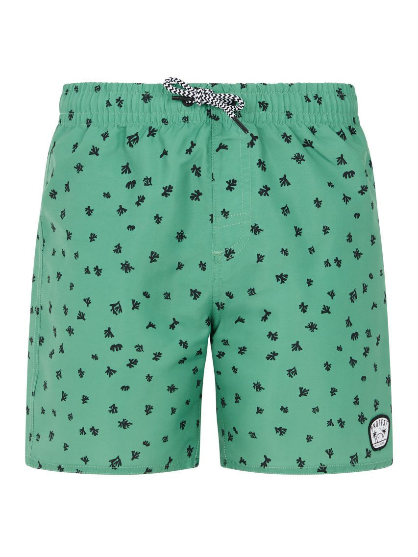 PROTEST PRTTyson JR Swim shorts | Cactus Green