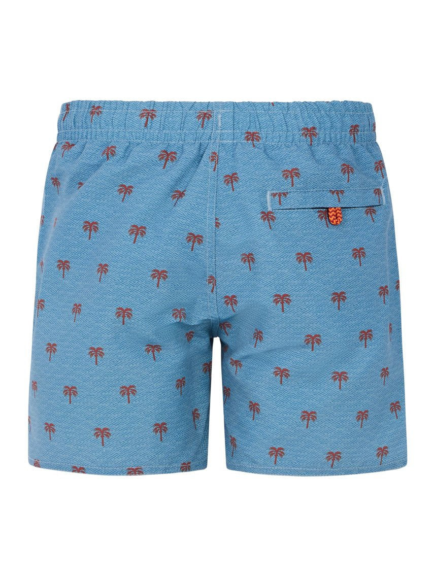 PROTEST PRTSteven JR Swim shorts | Dusty Blue