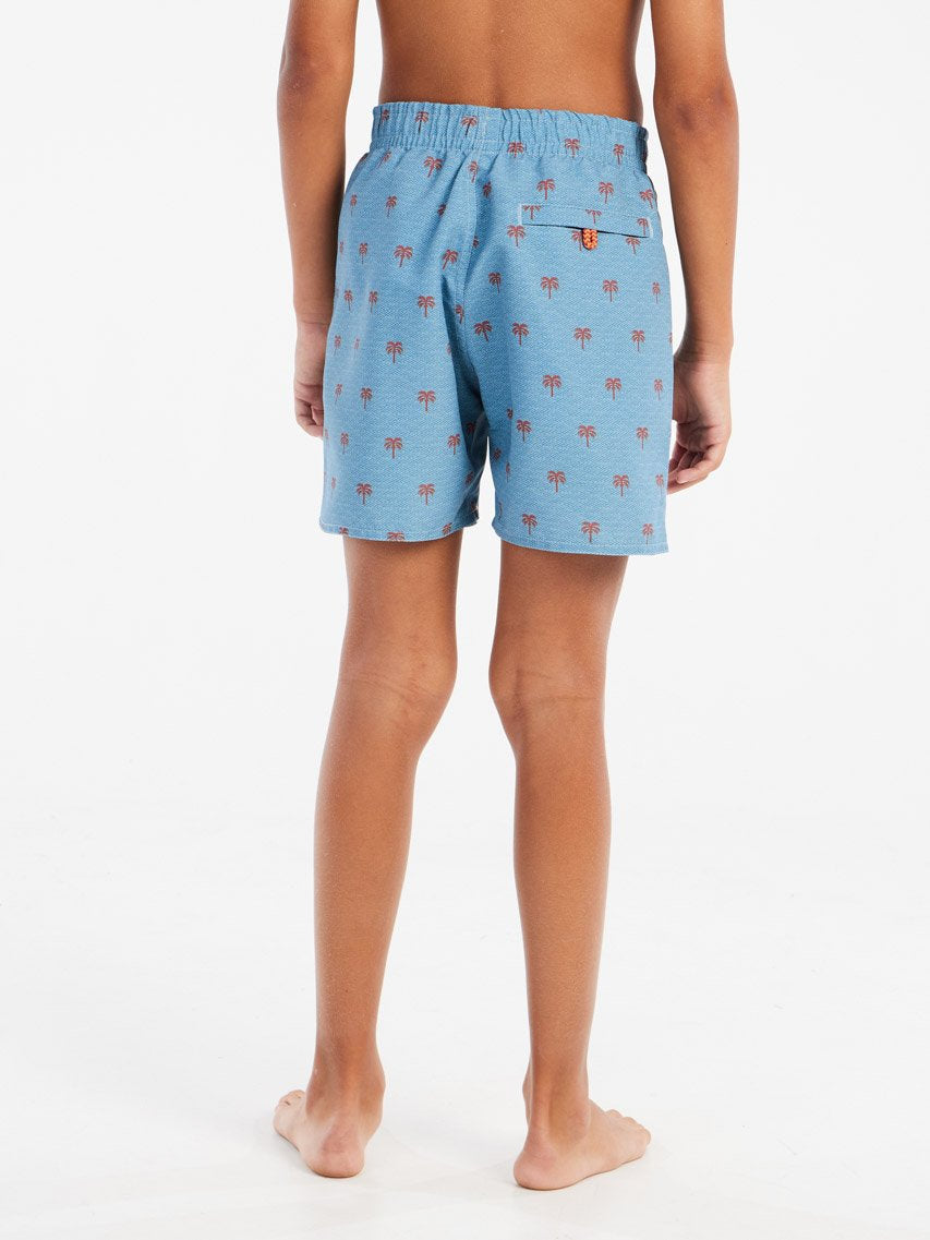 PROTEST PRTSteven JR Swim shorts | Dusty Blue