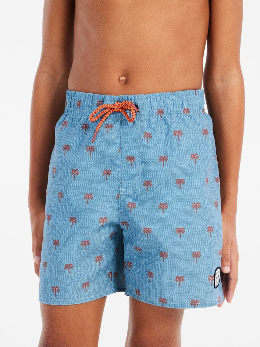 PROTEST PRTSteven JR Swim shorts | Dusty Blue