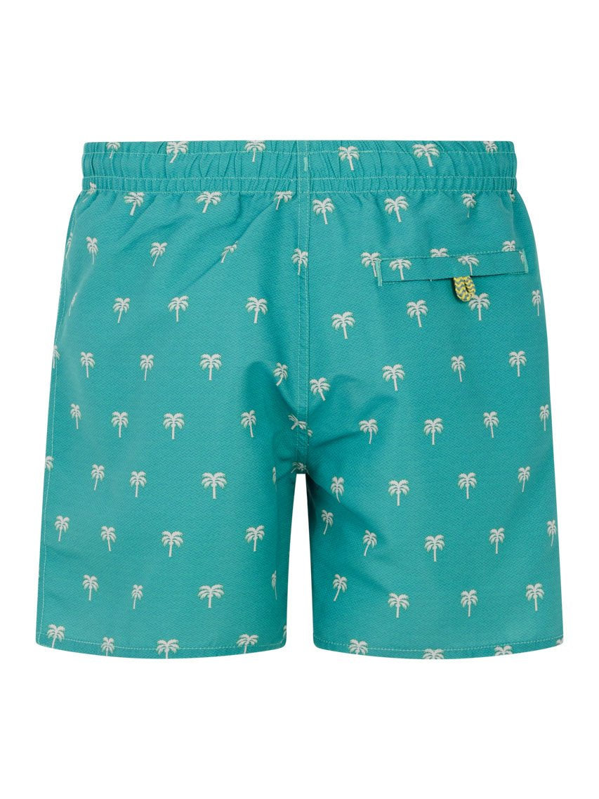 PROTEST PRTSteven JR Swim shorts | Wave Green
