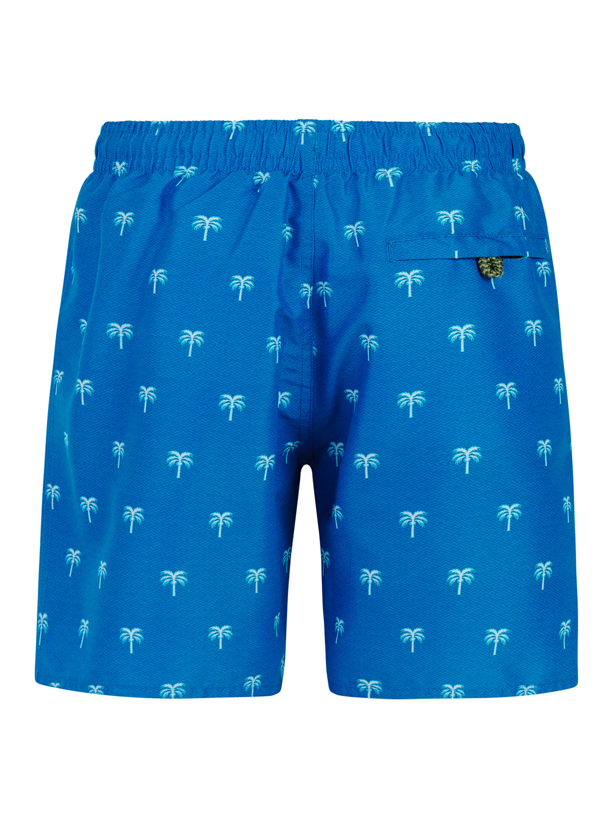 PROTEST PRTCalvin JR Beach Shorts | Cali Blue