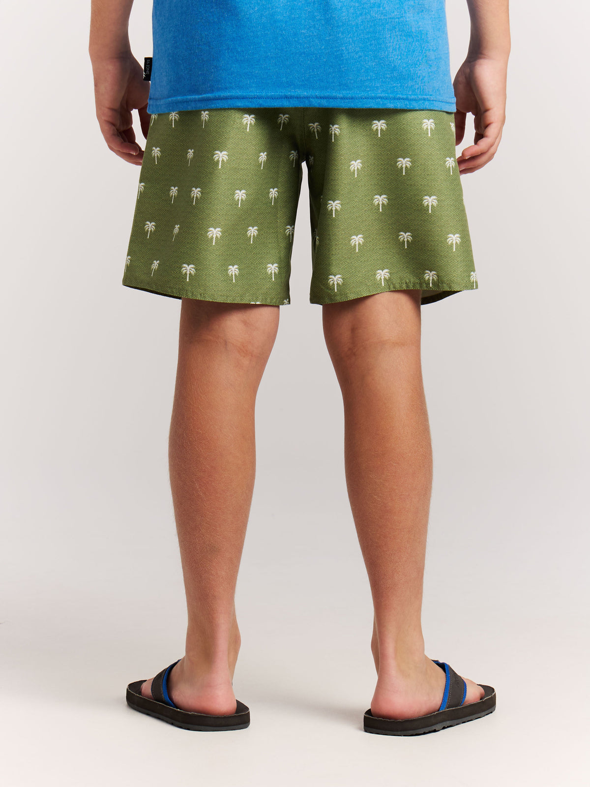 PROTEST PRTCalvin JR Beach Shorts | Fern Green