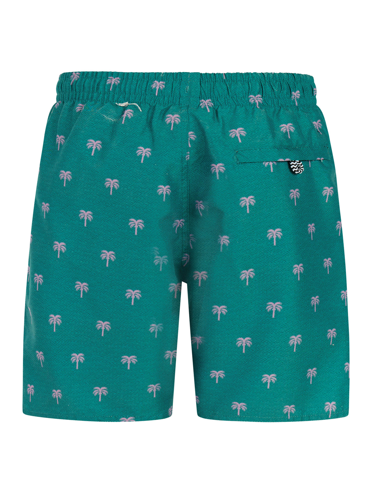 PROTEST PRTCalvin JR Beach Shorts | Dark Teal