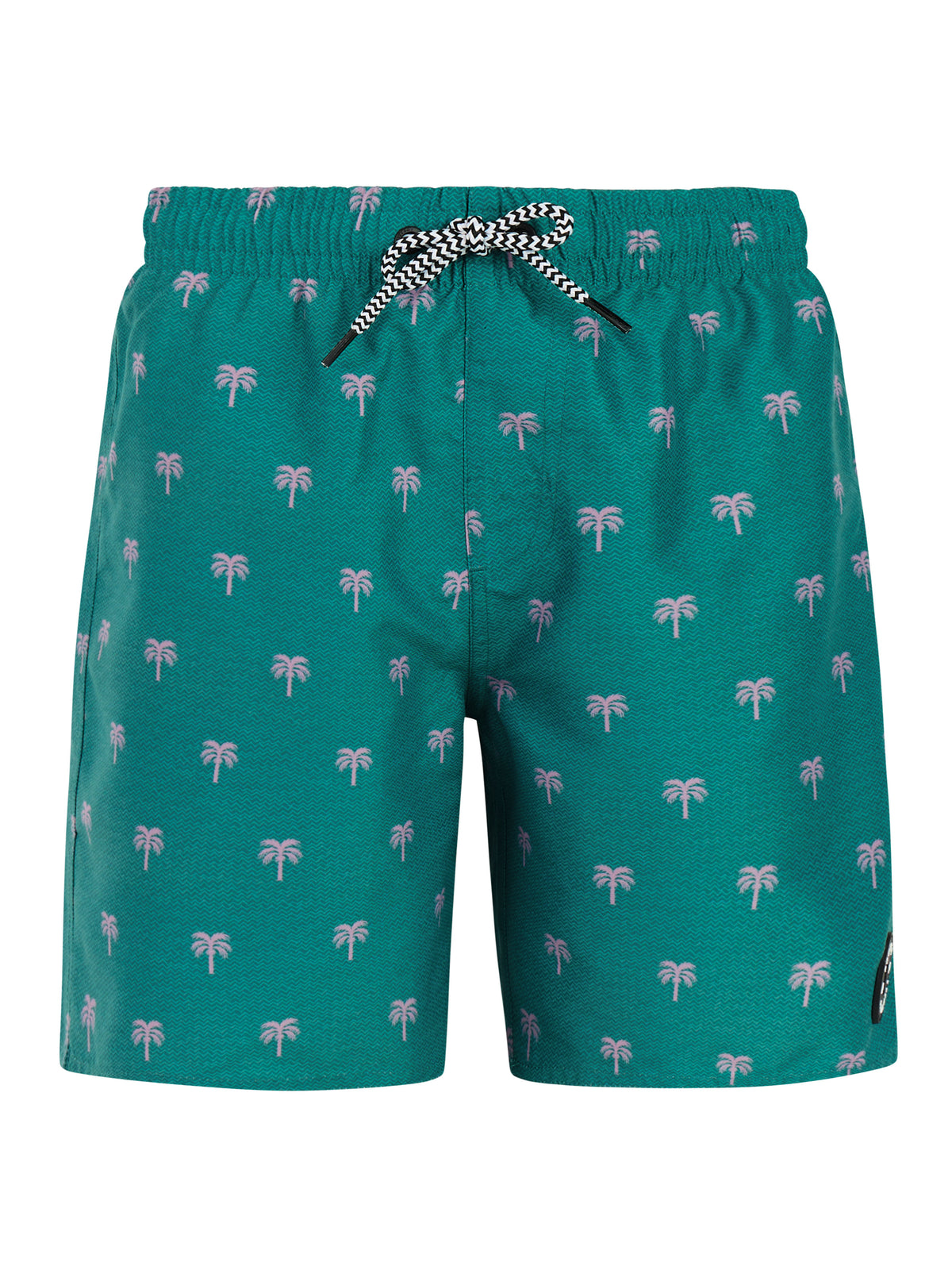 PROTEST PRTCalvin JR Beach Shorts | Dark Teal